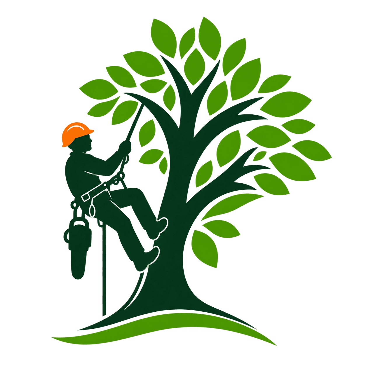 Tree Service Brockton MA