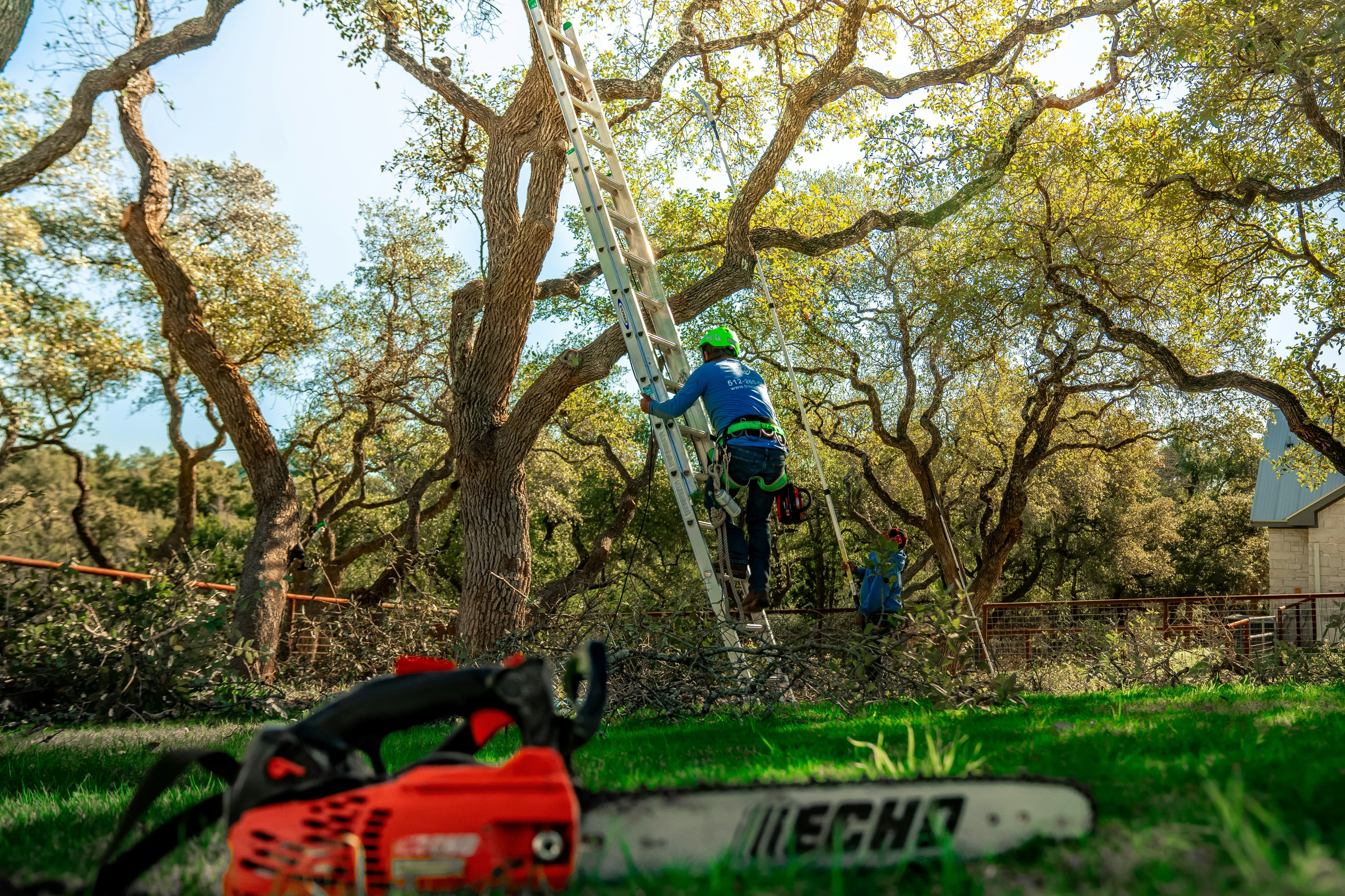 Emergency Tree Service