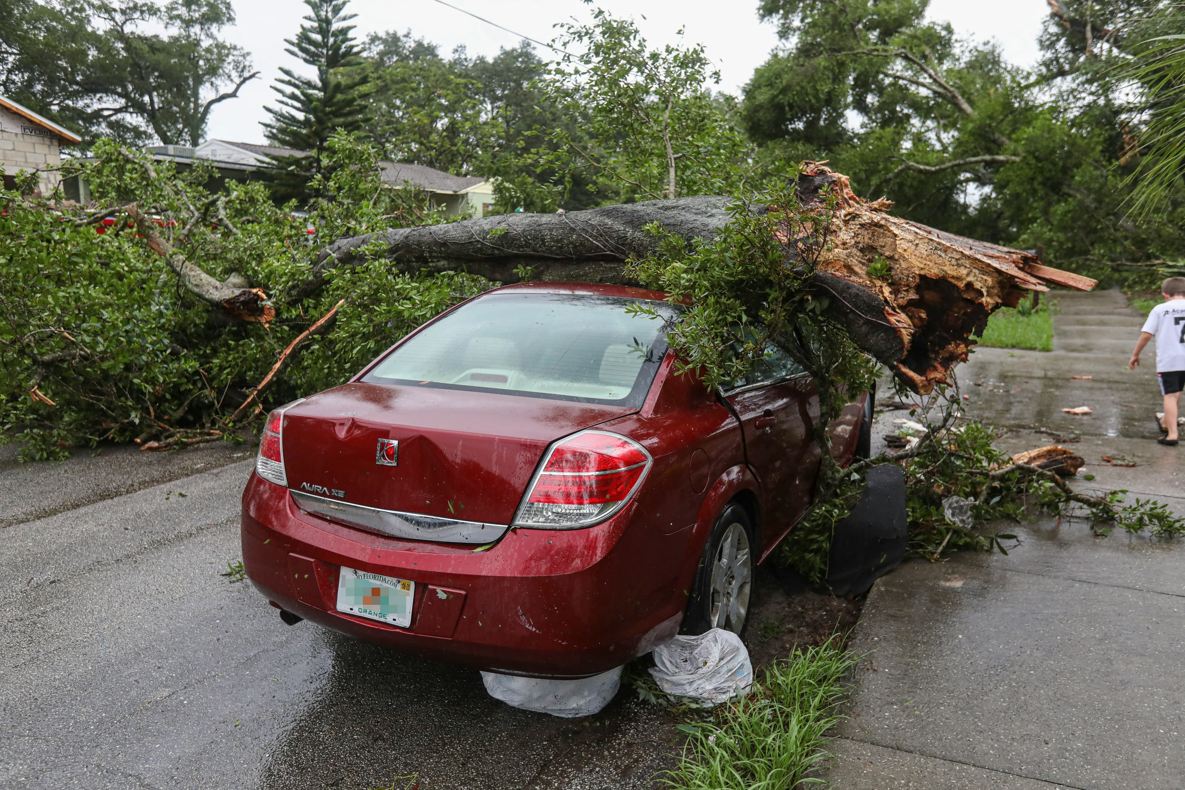 Storm Damage Cleanup
