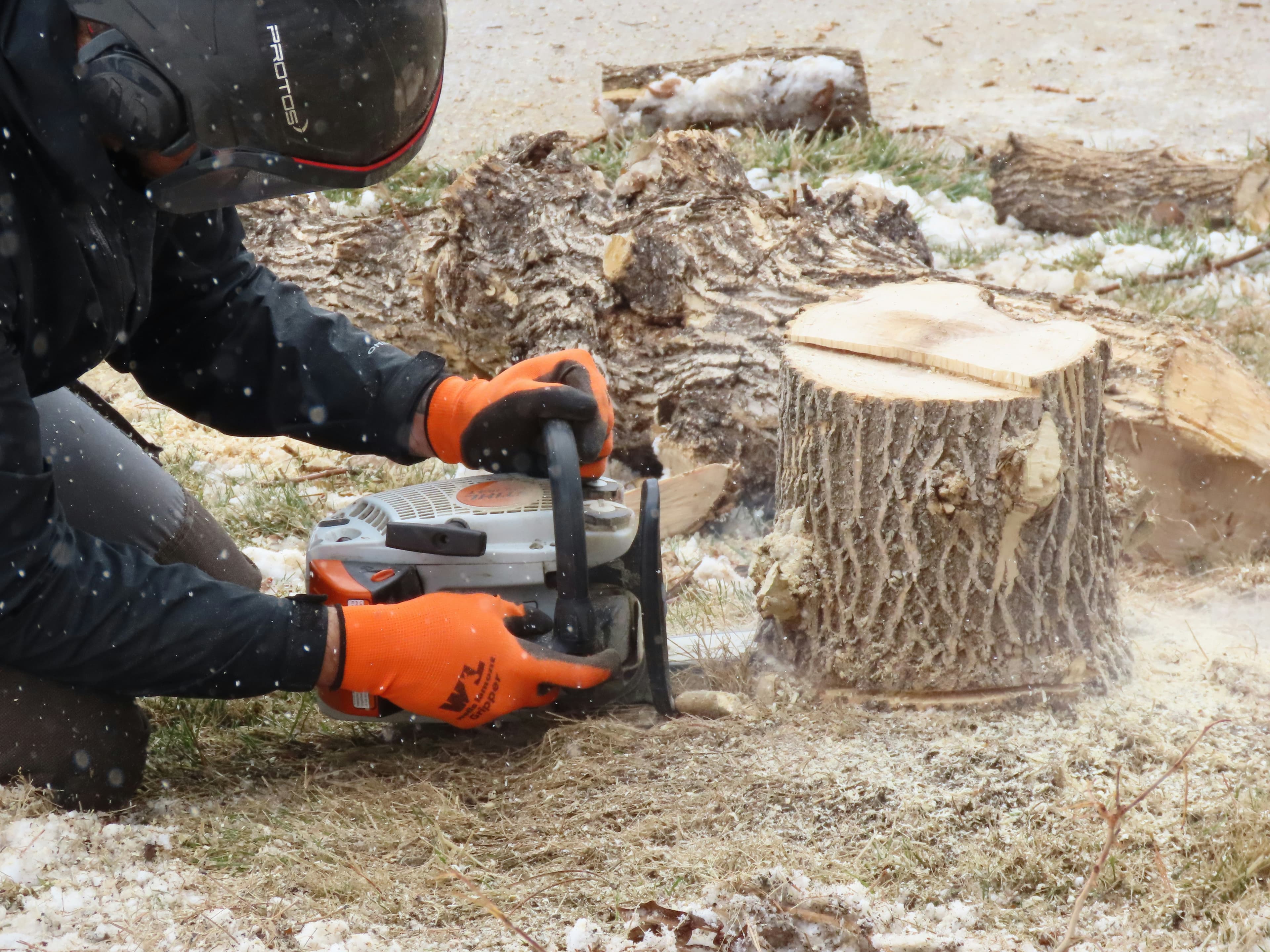 Stump Grinding & Removal